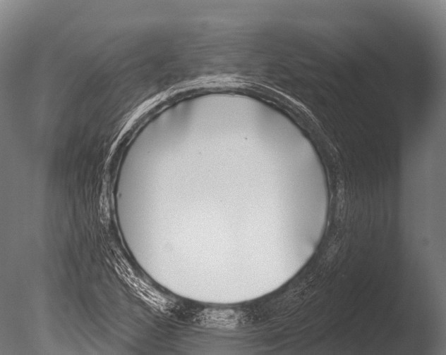 X0000085021168200704021419