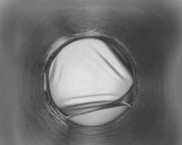 X0000085021171200704021419