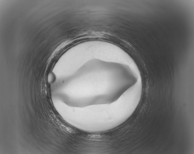X0000085021172200704021419