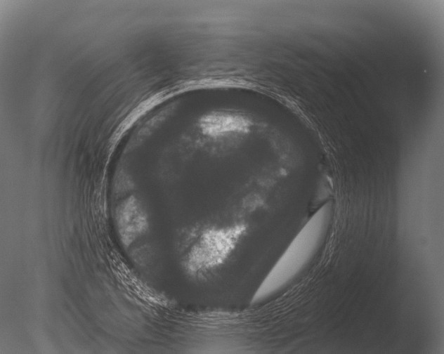 X0000085021173200704021419