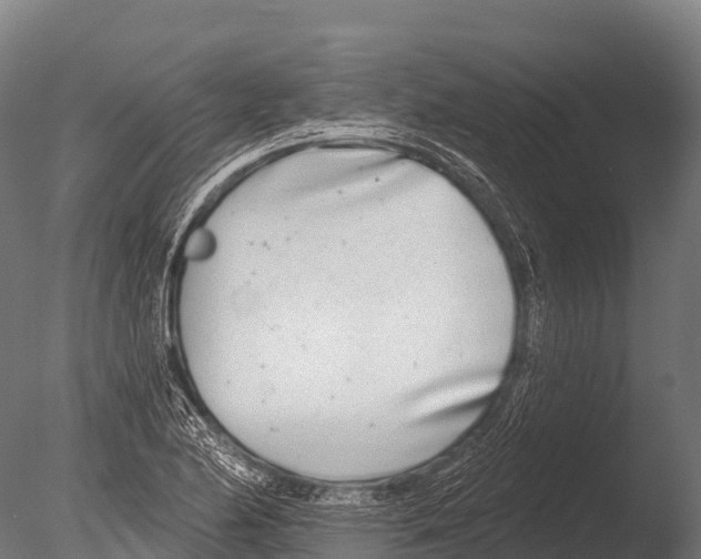 X0000085021174200704021419