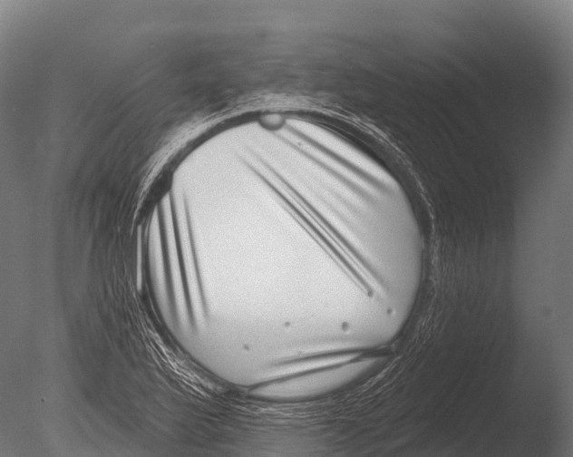 X0000085021175200704021419