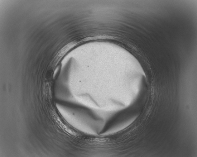 X0000085021177200704021419
