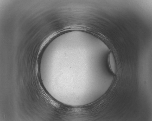 X0000085021188200704021419