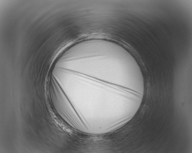X0000085021190200704021419