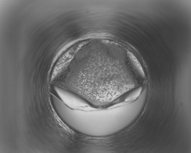 X0000085021192200704021419