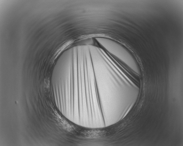 X0000085021193200704021419
