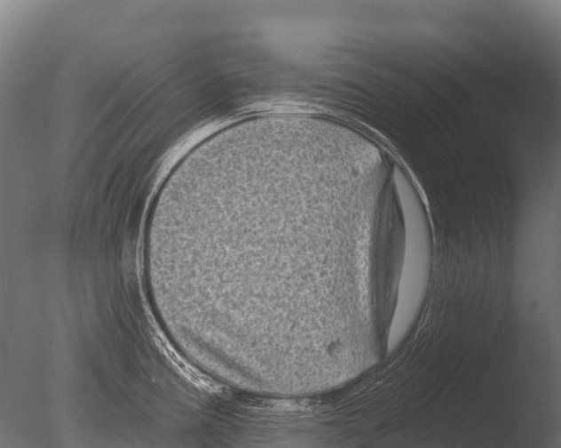 X0000085021195200704021419