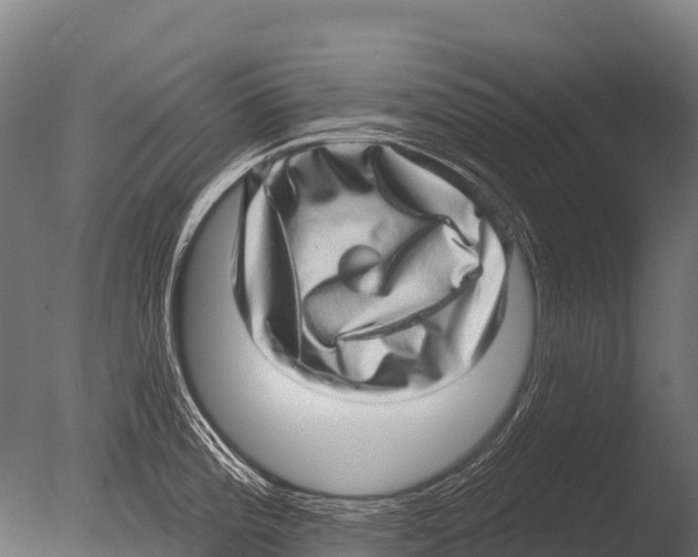 X0000085021196200704021419