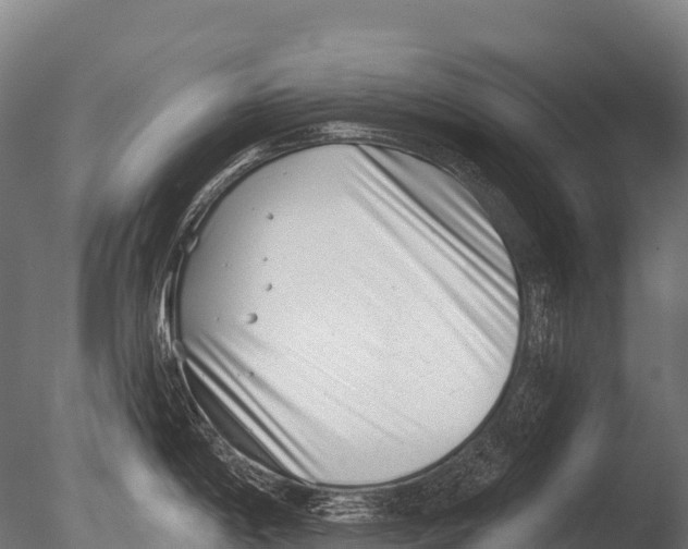 X0000085021198200704021419