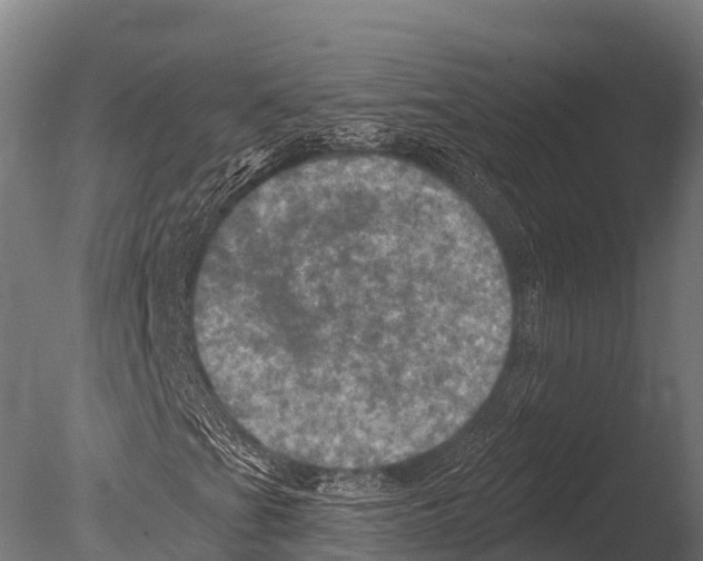 X0000085021201200704021418