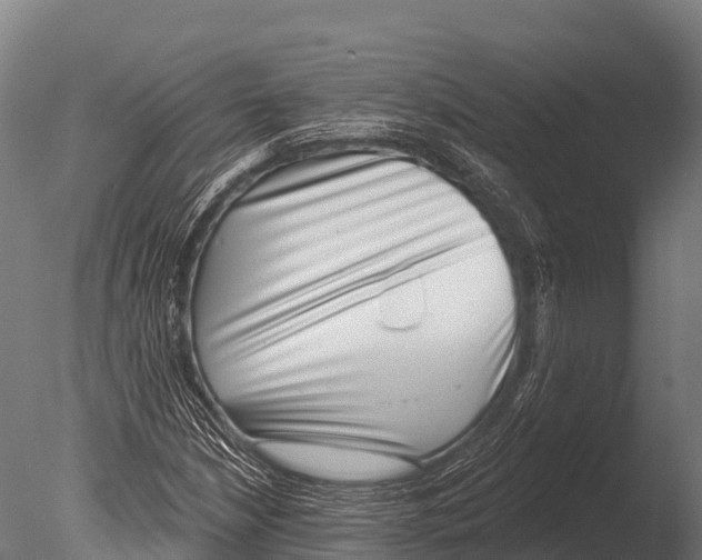 X0000085021210200704021418