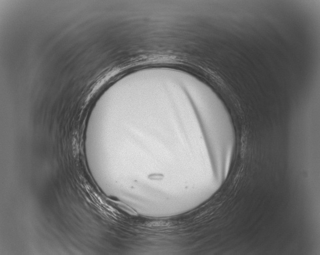 X0000085021212200704021418