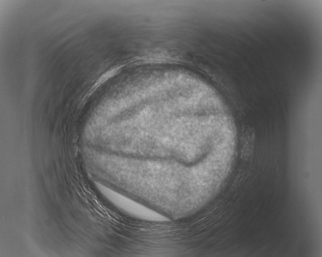 X0000085021213200704021418