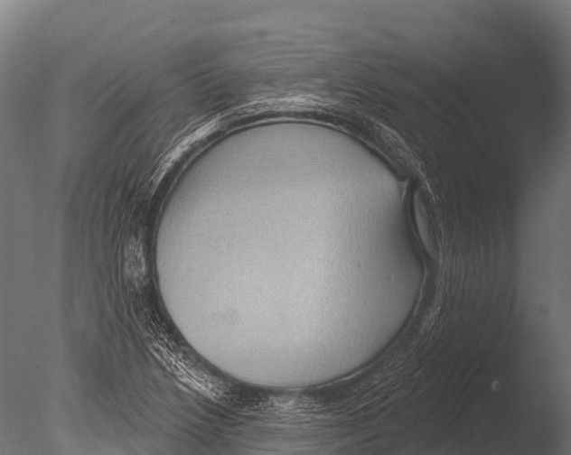 X0000085021218200704021418