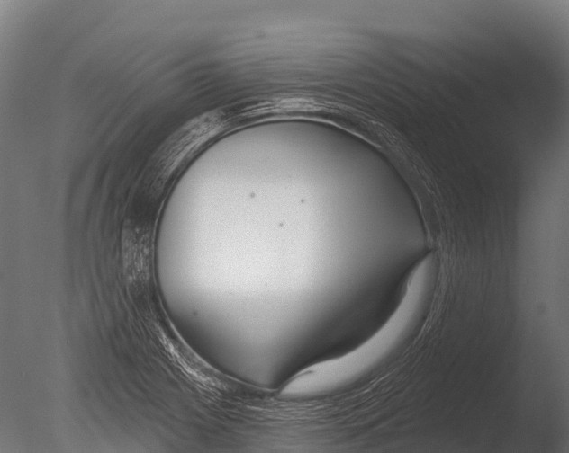 X0000085021225200704021418