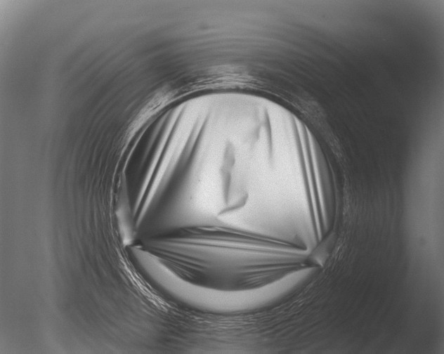 X0000085021234200704021418