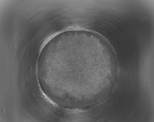 X0000085021239200704021418