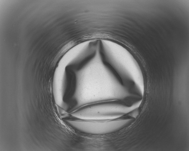 X0000085021241200704021418