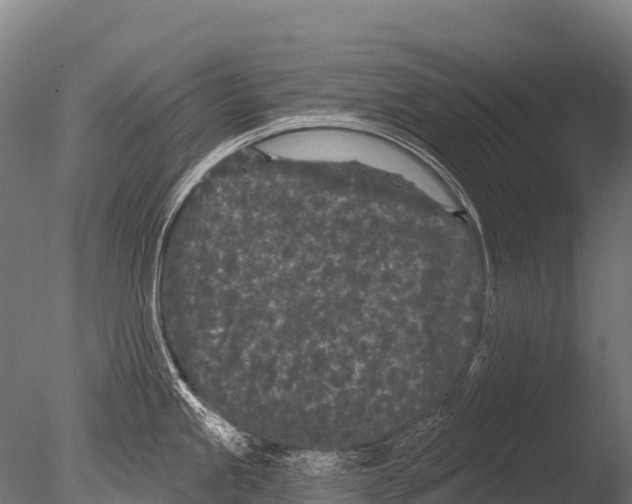 X0000085021245200704021419