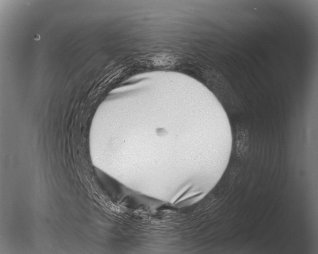 X0000085021249200704021418