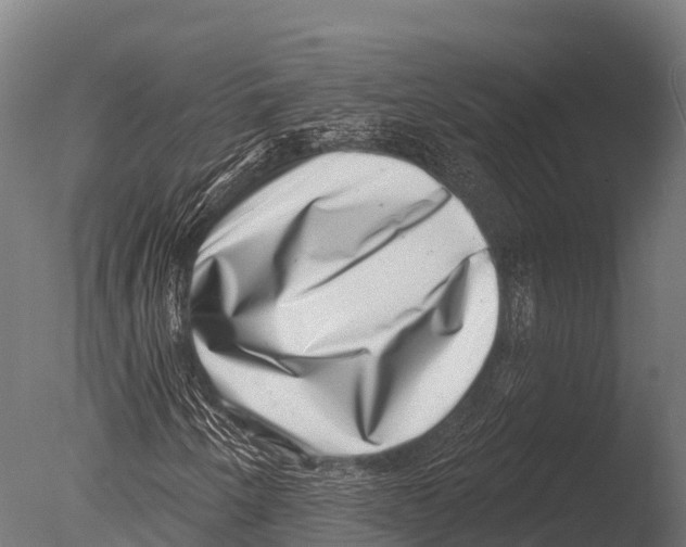 X0000085021250200704021418