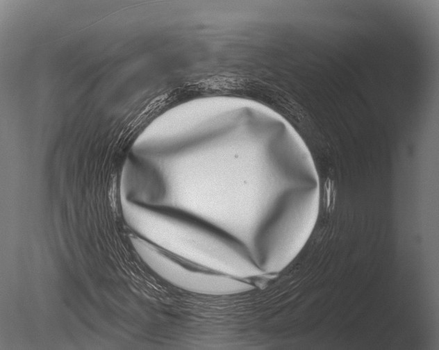 X0000085021251200704021418