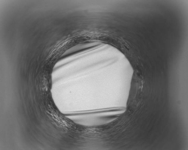 X0000085021253200704021418