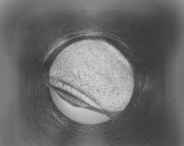 X0000085021255200704021418