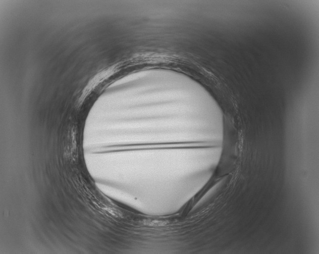 X0000085021261200704021418