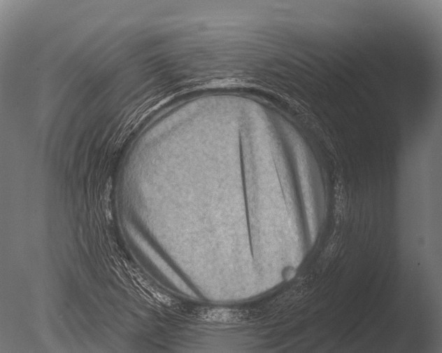 X0000085021265200704021418