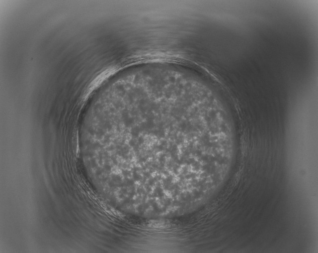 X0000085021267200704021417