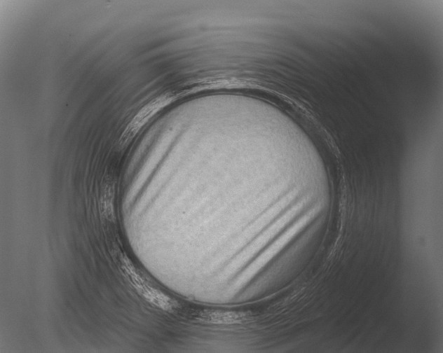 X0000085021273200704021417
