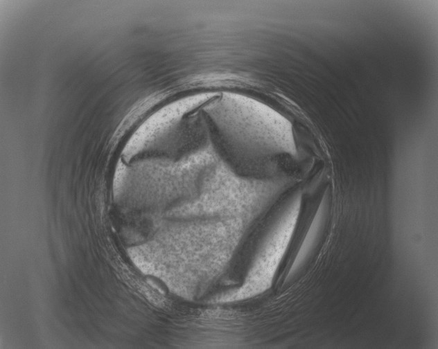 X0000085021277200704021417