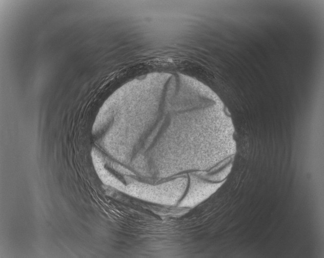 X0000085021297200704021416