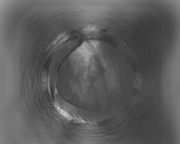 X0000085021298200704021416
