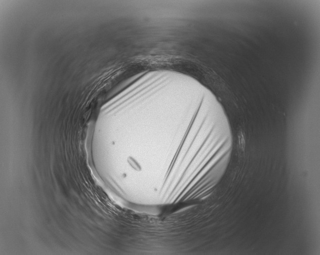 X0000085021300200704021416