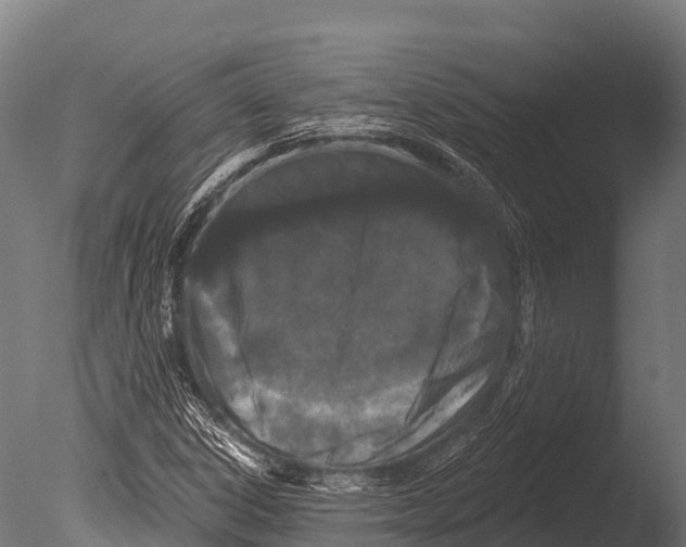 X0000085021306200704021416