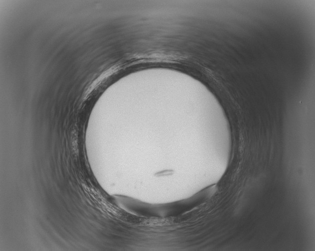 X0000085021307200704021416