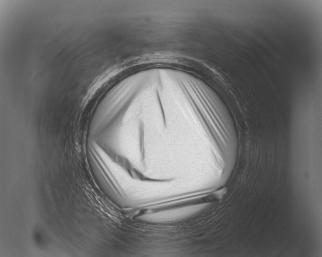 X0000085021312200704021416