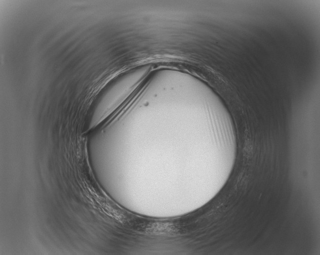 X0000085021313200704021416