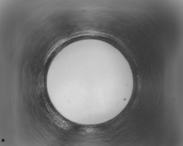 X0000085021318200704021417