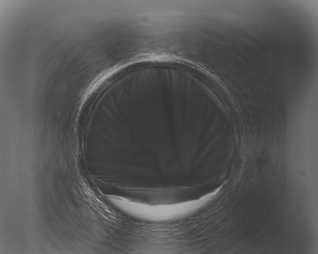 X0000085021319200704021417