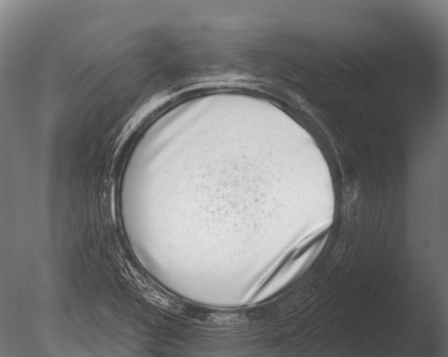 X0000085021320200704021417