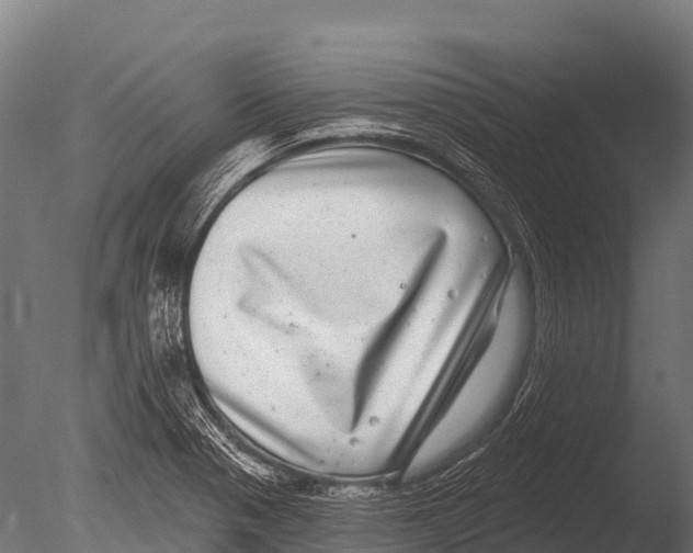 X0000085021321200704021417