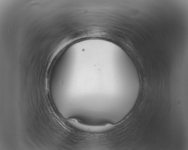 X0000085021324200704021417