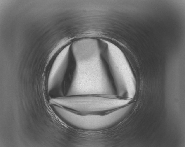 X0000085021325200704021417