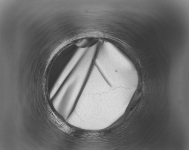X0000085021326200704021417