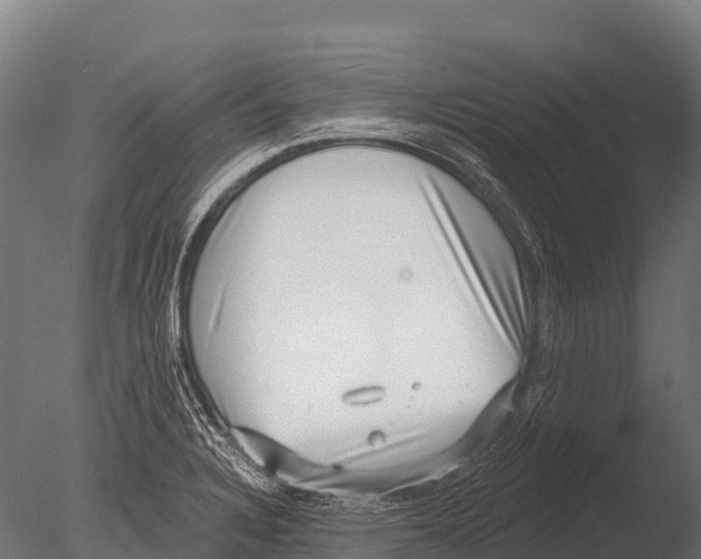 X0000085021328200704021417