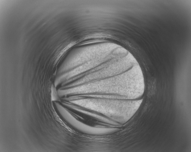 X0000085021329200704021417